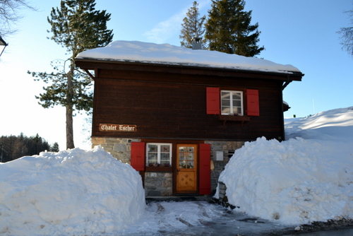 Escher Swiss Chalet Escher Swiss Chalet